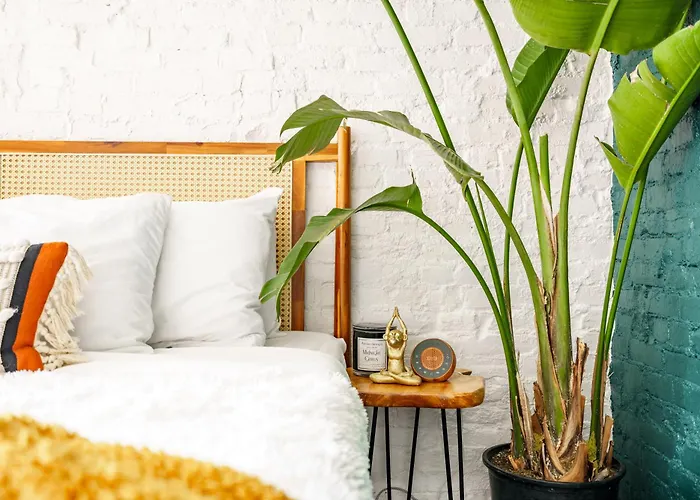 Jungle House Downtown - Modern Boutique