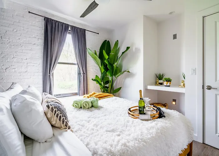 Сasa de vacaciones Jungle House Downtown - Modern Boutique *
