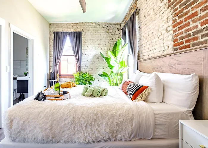 Jungle House Downtown - Modern Boutique *