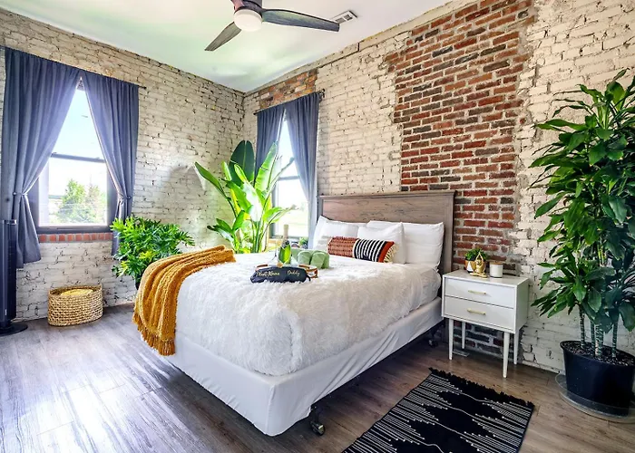 Jungle House Downtown - Modern Boutique