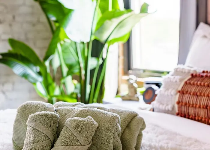 Сasa de vacaciones Jungle House Downtown - Modern Boutique