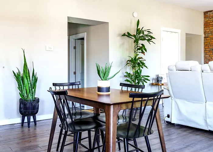 Jungle House Downtown - Modern Boutique