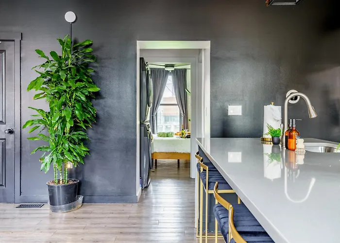 Jungle House Downtown - Modern Boutique *