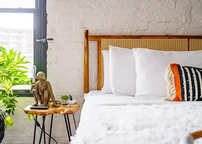Jungle House Downtown - Modern Boutique